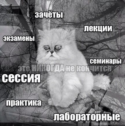 Для тех у кого сессия прикол Для тех у кого сессия прикол