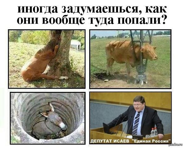 1381401000_887242624.jpg