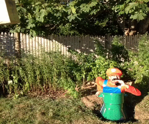 http://s.pikabu.ru/post_img/2013/10/13/10/1381676796_1889028805.gif