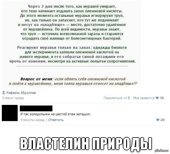 http://s.pikabu.ru/post_img/2013/10/15/5/1381819716_2008290422.jpg