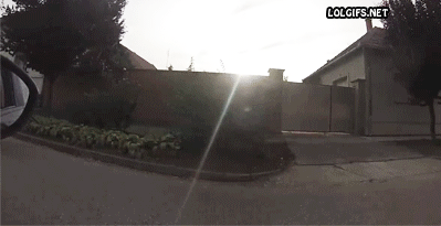 1381993518_2050577972.gif
