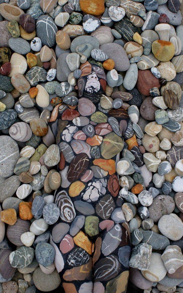 1382436664_682906605.jpg