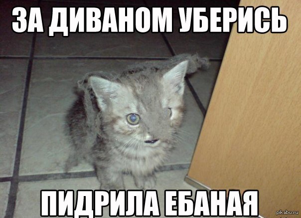 1383230353_1256022726.jpg