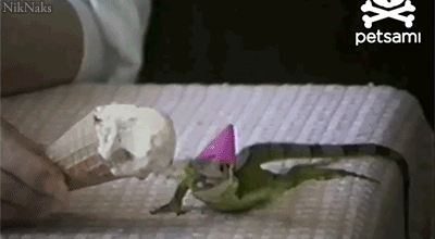 1383750943_1783358569.gif