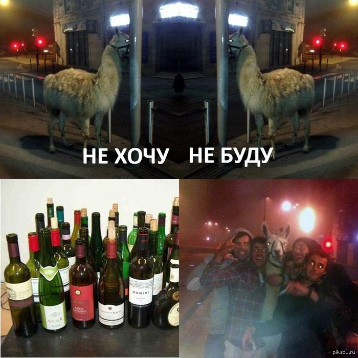 [Изображение: 1383760163_350443322.jpg]