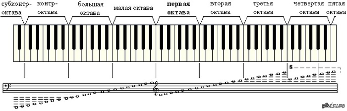 Расположение Нот На Пианино В Басовом Ключе