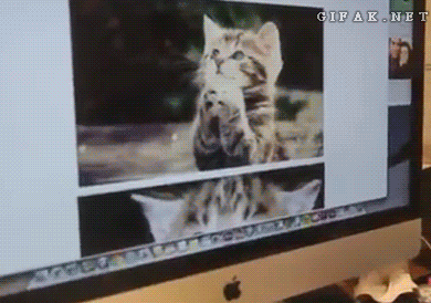 [Зображення: 1384849689_2033669145.gif]
