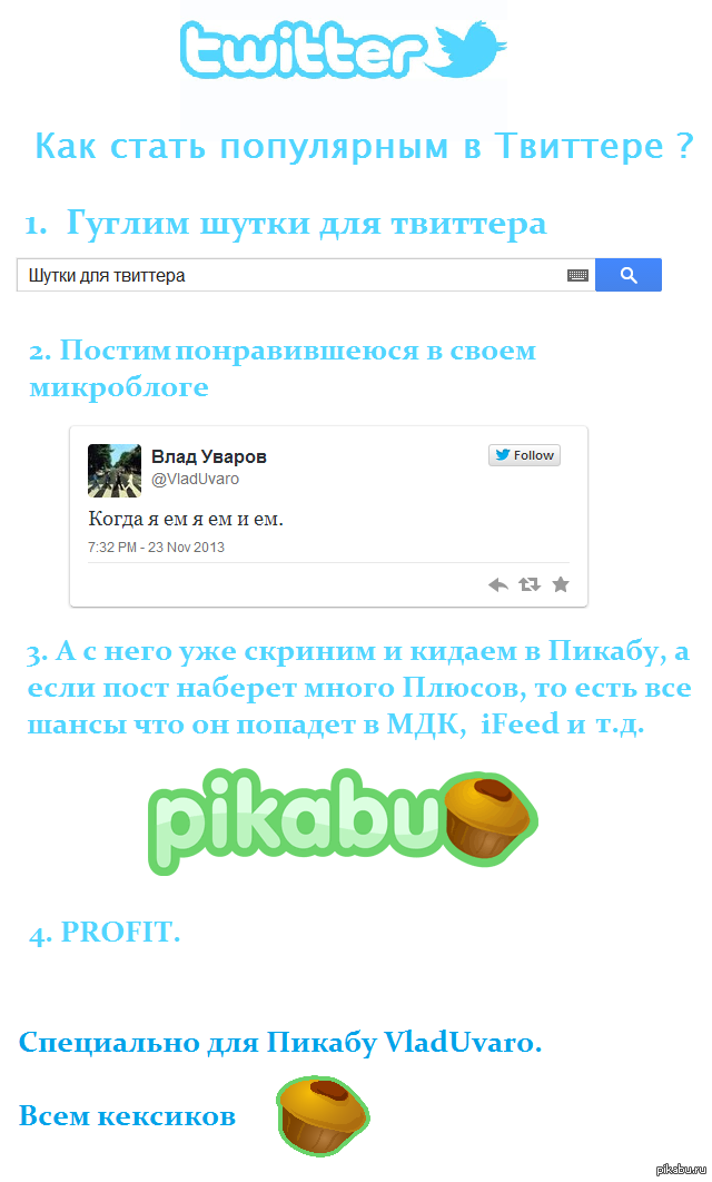 Как стать самой популярной в твиттере