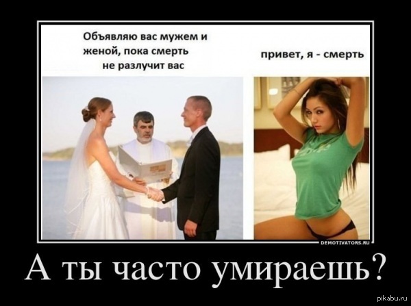 термобелья Термобелье муж узнал что жена снималась вашему вниманию список