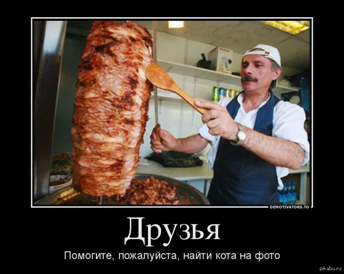 найди кота