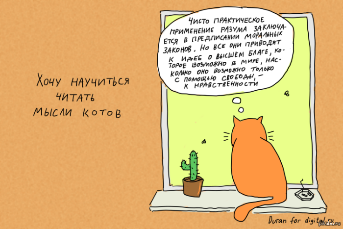 Как научится читать мысли в домашних условиях