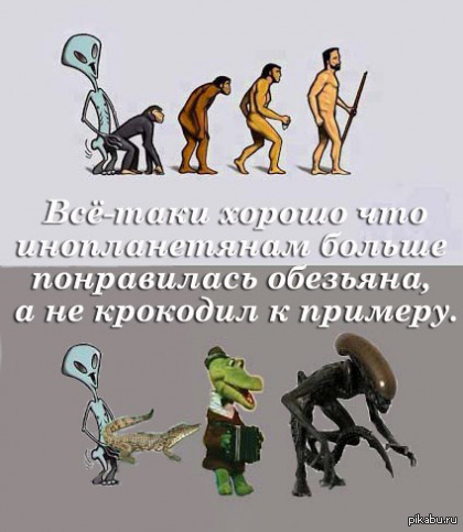 http://s.pikabu.ru/post_img/2013/12/16/10/1387207422_1400418621.jpg