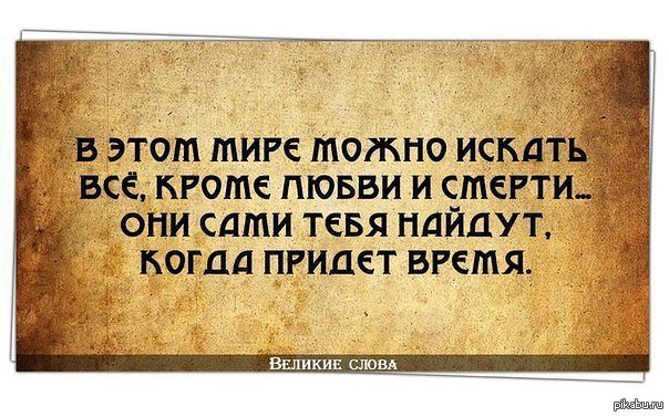 Афоризмы цитаты найти свое Афоризмы цитаты найти свое