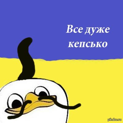 Картинки по запросу чому