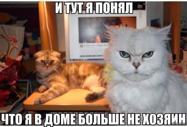1388956015_865318700.jpg