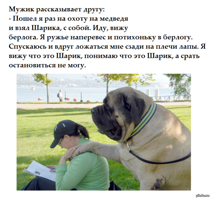 Как сделать в ворде альбомный лист, красивые Здоровье: беременность, гинекология, болезни, консультации