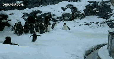1389800788_1742947988.gif