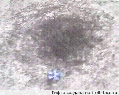 Спираль смерти Это куча муравьев. Они потеряли запах колонии и теперь будут ходить по кругу пока не найдут ее или не умрут.