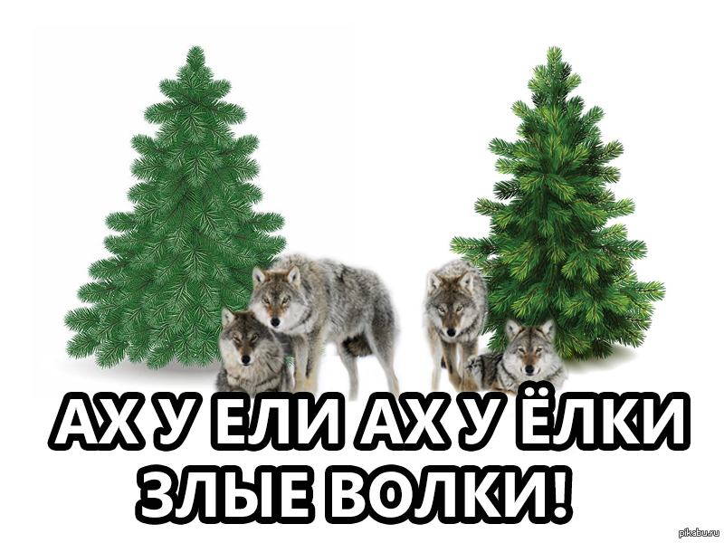 http://s.pikabu.ru/post_img/big/2013/08/31/11/1377971305_1385662044.jpg