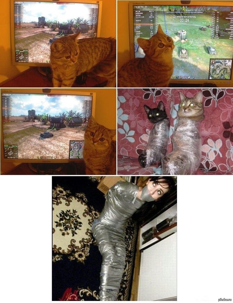 1378026474_523497373.jpg