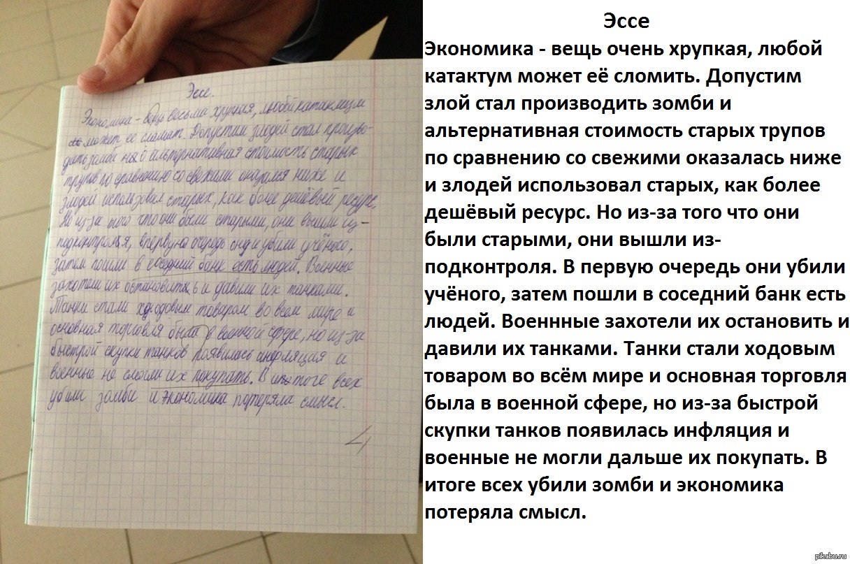 эссе по истории на тему:для чего нужна история нижнее