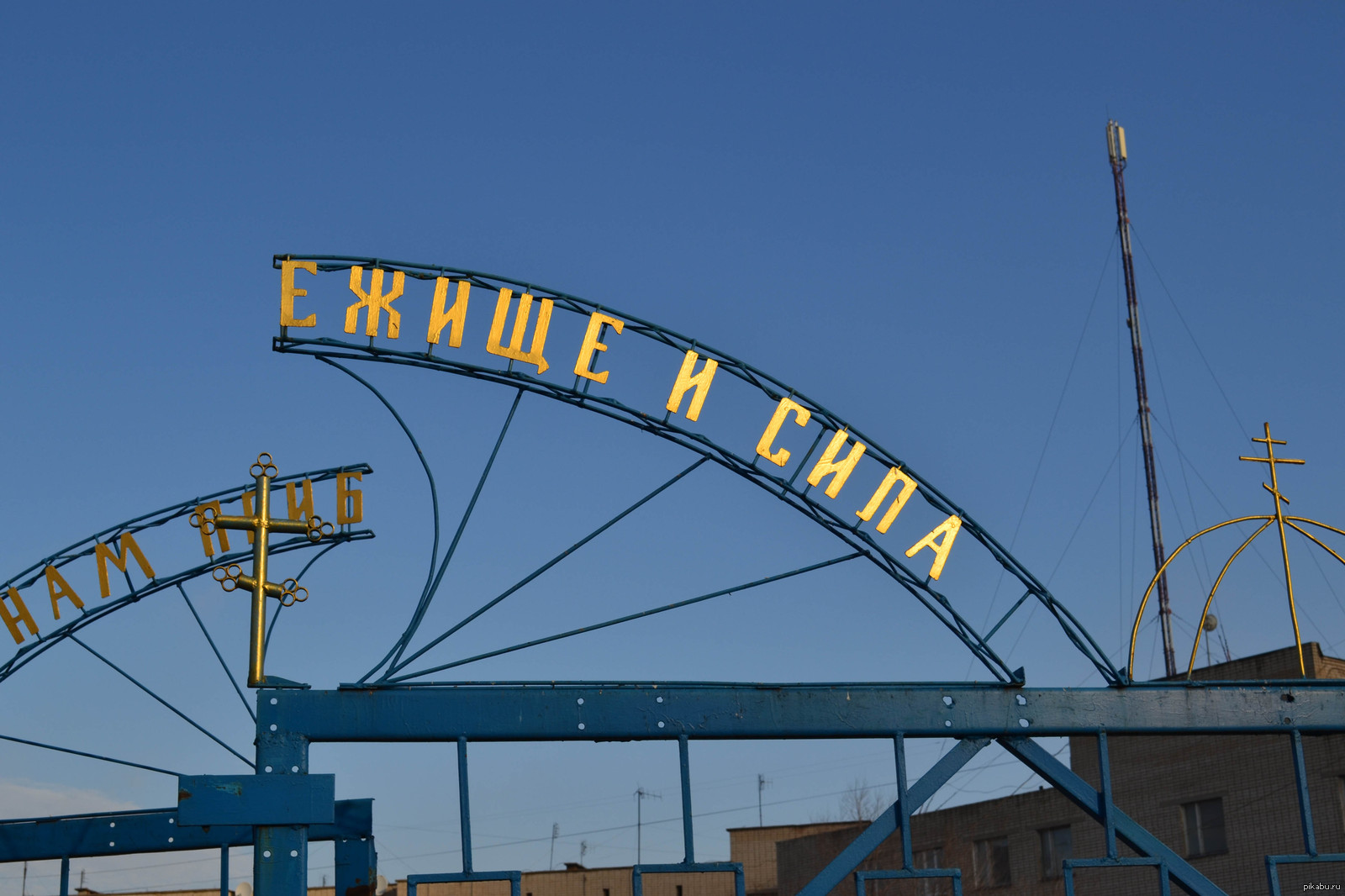 страпон Страпонтен в картинках