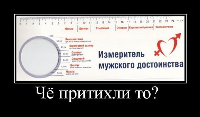 Член с линейкой (17 фото)