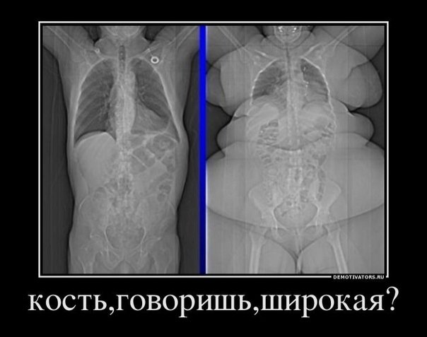 1346744699266.jpg