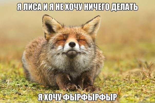 http://s.pikabu.ru/images/big_size_comm/2013-12_4/13874322831657.jpg