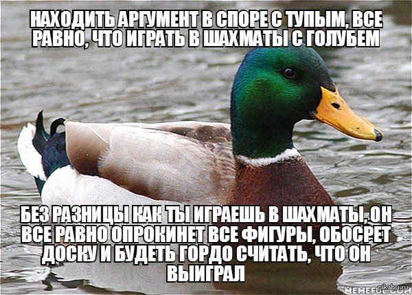 13911908175235.jpg