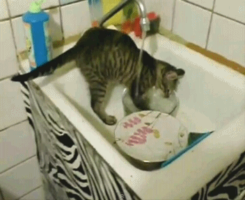 https://s.pikabu.ru/images/previews_comm/2012-04_6/13356048781623.gif