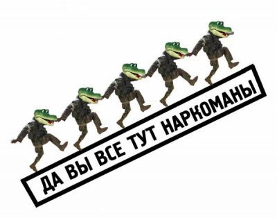 13459711755644.jpg
