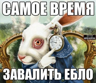 13516900805915.jpg