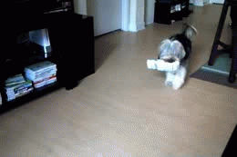1359651024_1693771718.gif