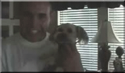 1359822159_616108495.gif