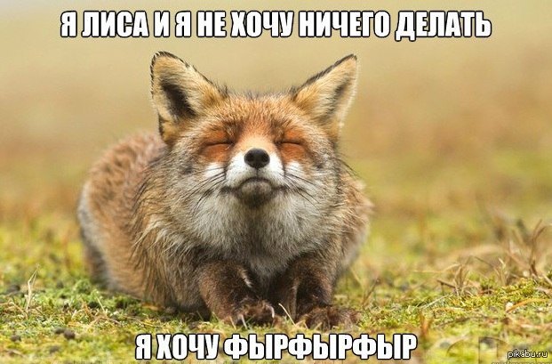 http://s.pikabu.ru/post_img/2013/02/10/10/1360514373_338471806.jpg