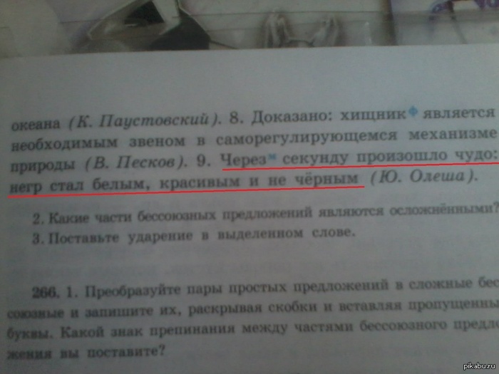 1360772824_721640538.jpg