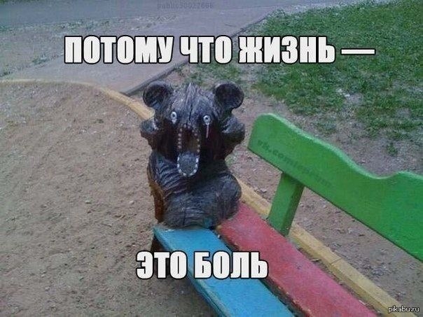 http://s.pikabu.ru/post_img/2013/02/14/6/1360831719_625330175.jpg