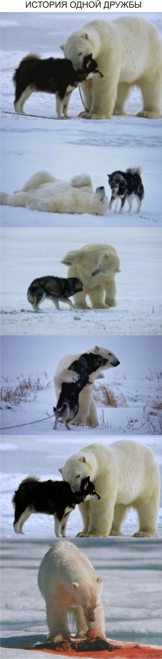 http://s.pikabu.ru/post_img/2013/03/15/8/1363351737_1334432563.jpg