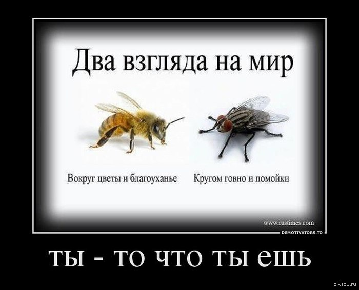 http://s.pikabu.ru/post_img/2013/04/04/6/1365061592_292670616.jpg