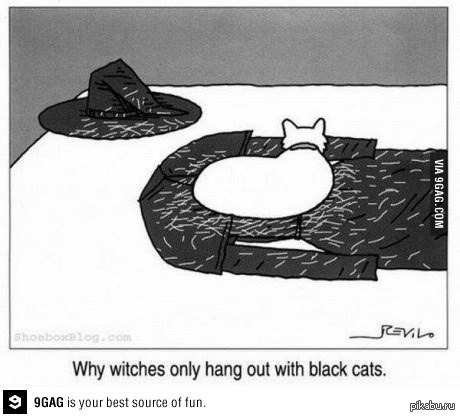 Почему ведьмы заводят только чёрных котов ? умыкнул с 9gag  кот, ведьма, Картинки