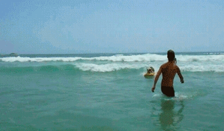 http://s.pikabu.ru/post_img/2013/04/20/9/1366466794_200421665.gif