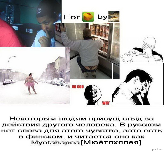 http://s.pikabu.ru/post_img/2013/04/21/11/1366568696_223925002.jpg