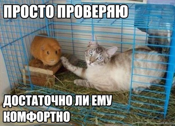 http://s.pikabu.ru/post_img/2013/05/26/2/1369528428_1798332362.jpg