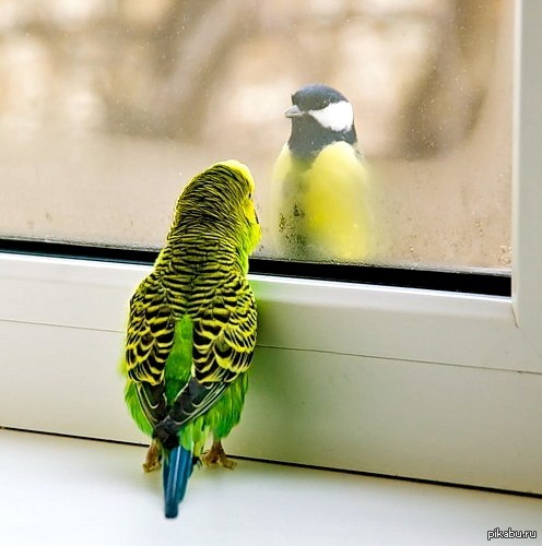 Волшебный шалаш Взрослея, мы начинаем забывать, что есть волшебство и чудеса.   Я предлагаю Вам отыскать дорогу в Волшебный Мир и вернуть себе сказку! http://axe-pyrus.ru  мои мысли, медитация, чудеса, Любовь, Волшебство