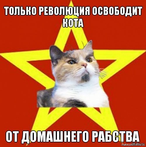 http://s.pikabu.ru/post_img/2013/06/15/11/1371319676_63620988.jpg