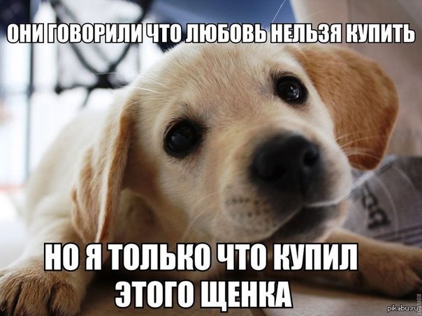 http://s.pikabu.ru/post_img/2013/06/19/6/1371628649_931962838.jpg