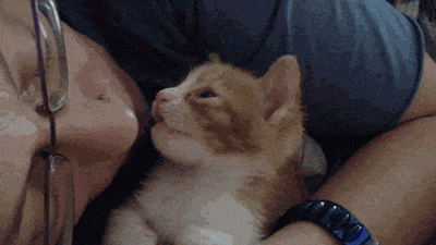 http://s.pikabu.ru/post_img/2013/06/24/11/1372094294_2076372887.gif