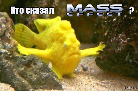 Кто сказал Mass Effect? mass effect, рыба