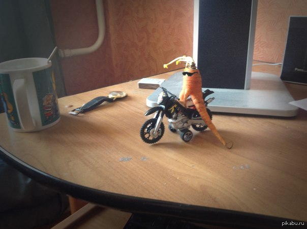 Брутальность этой морковки просто зашкаливает. байк, черные очки, и еще кое что